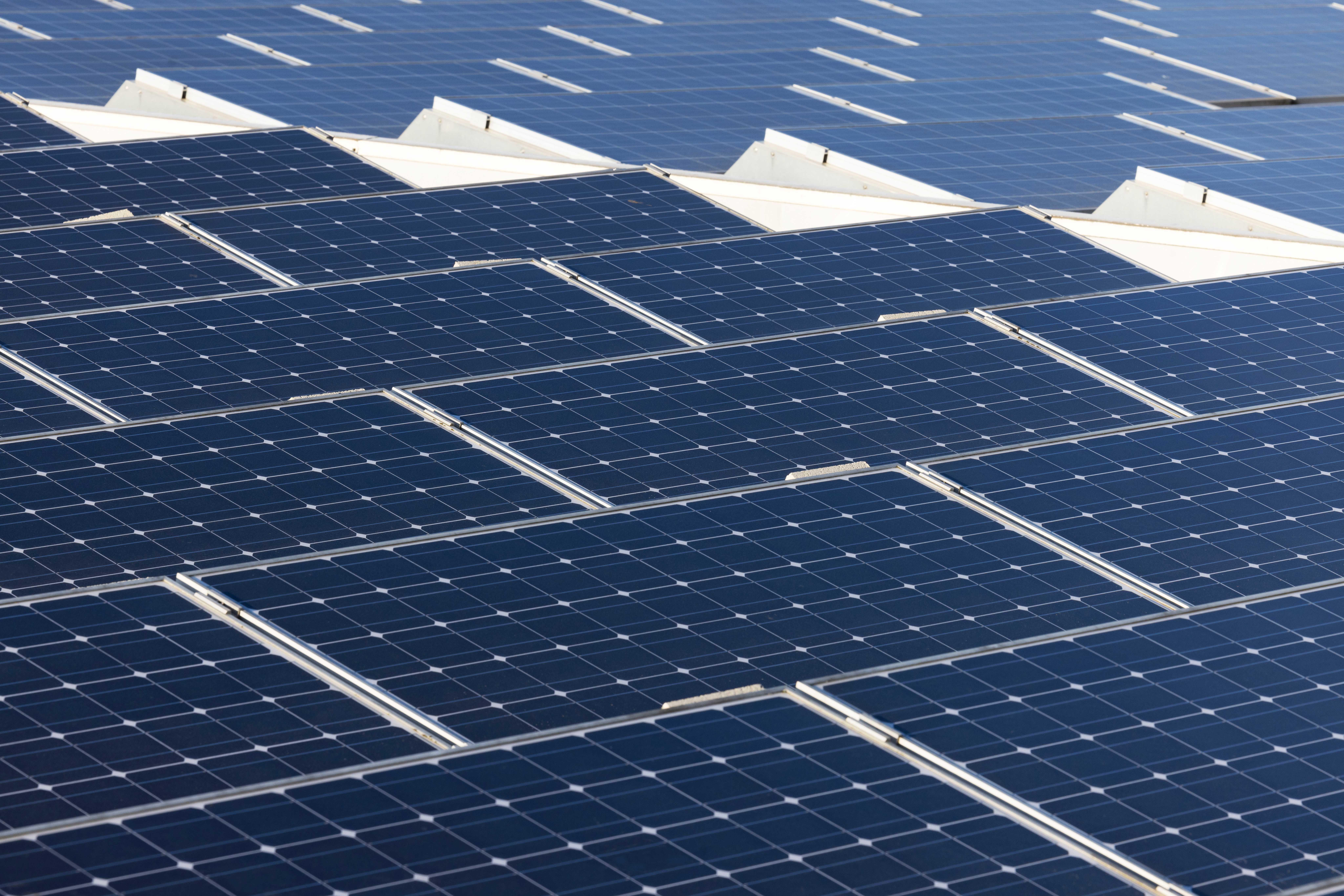 Image of solar panels