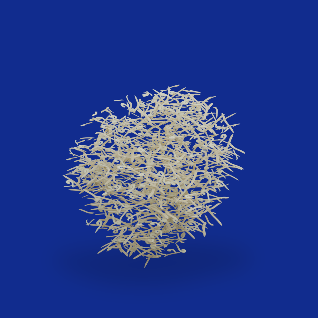 Cheese Ingredients
Mozzarella is the big cheese! The most popular cheese worldwide to top pizza´s and growing rapidly in other applications as well, mozzarella is what we do best for already more than 25 years.